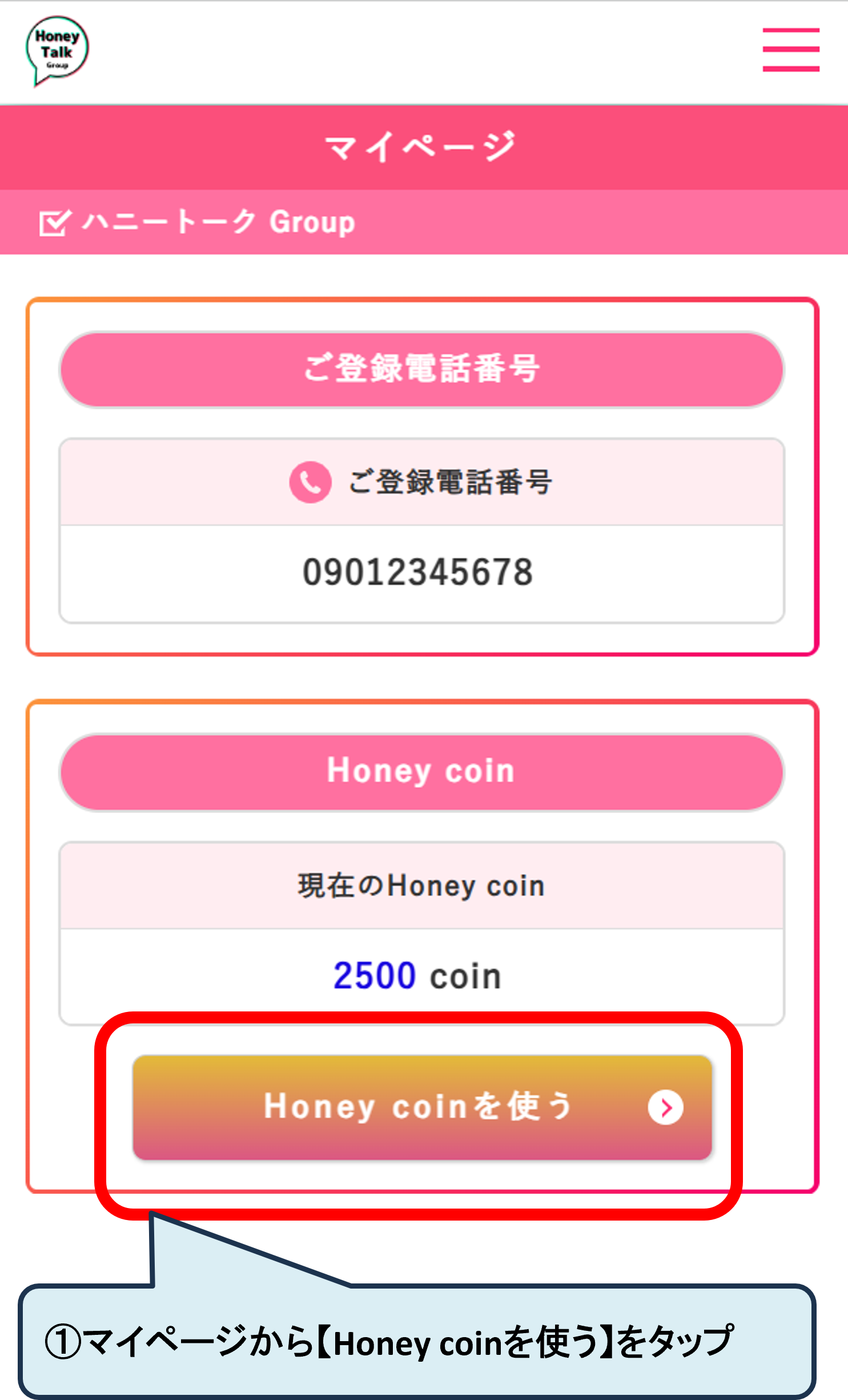 honey_coin01